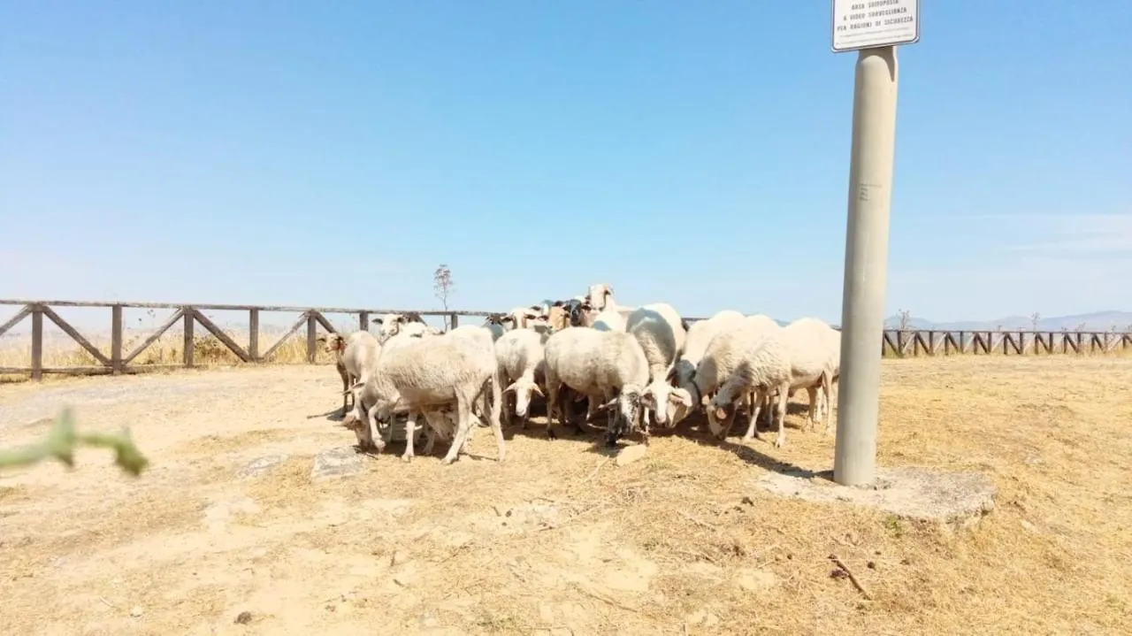 Agira Kasakarma 빌라